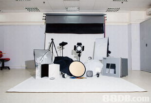 探索專業攝影服務的多樣世界